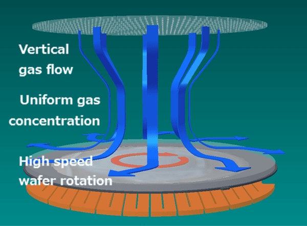 Lapisan struktural dina chamber epitaxial SiC