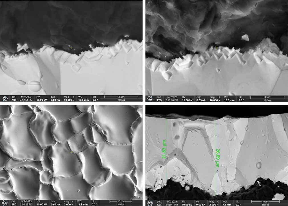 Tantalum carbide TaC palapis dina cross-bagian mikroskopis